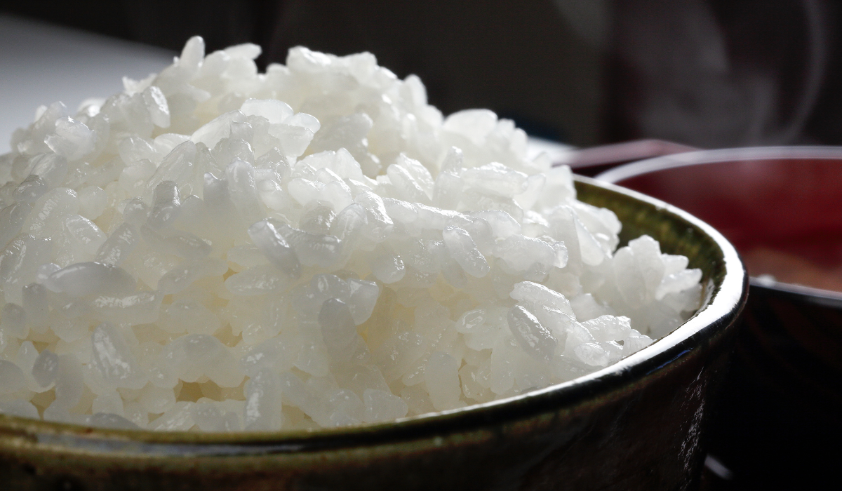 新発田産コシヒカリ(令和7年産) 玄米30kg