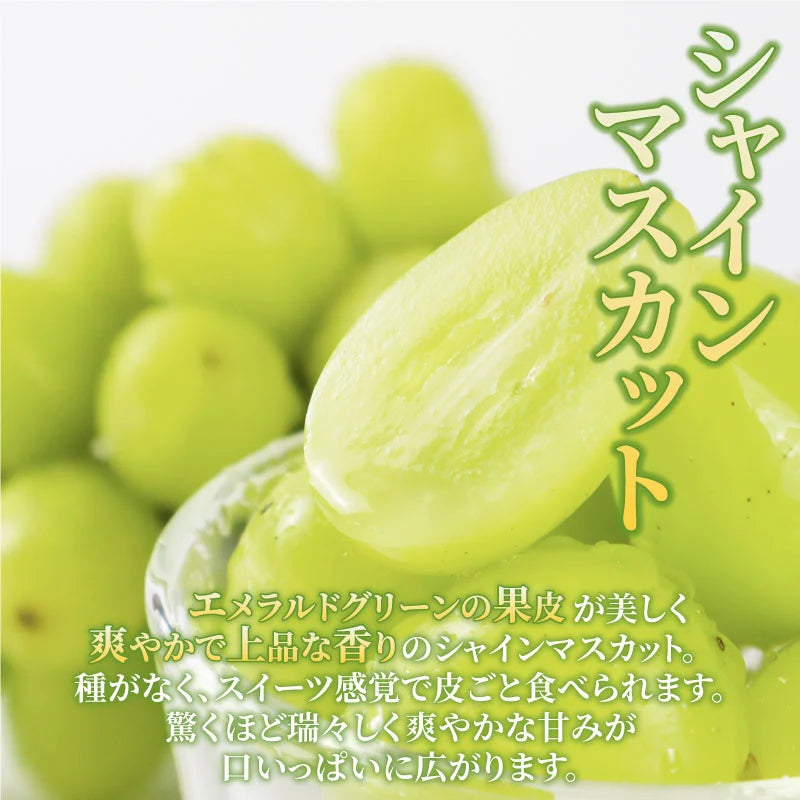 季節のぶどうセット(シャイン入り)