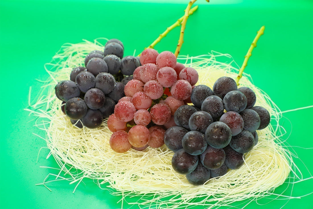 色とりどりのぶどうがたくさん！