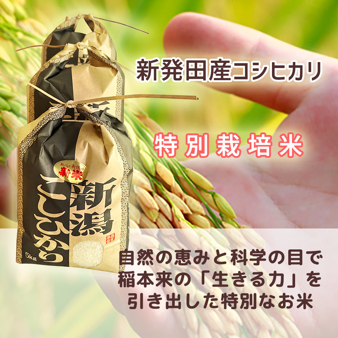 愛情たっぷり特別栽培米（コシヒカリ）