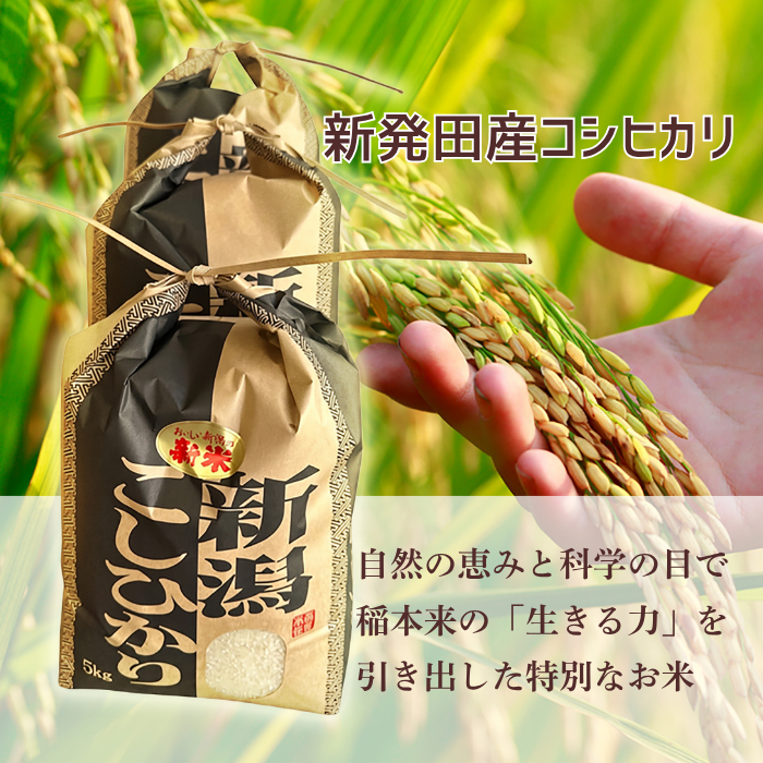 お米（コシヒカリ）