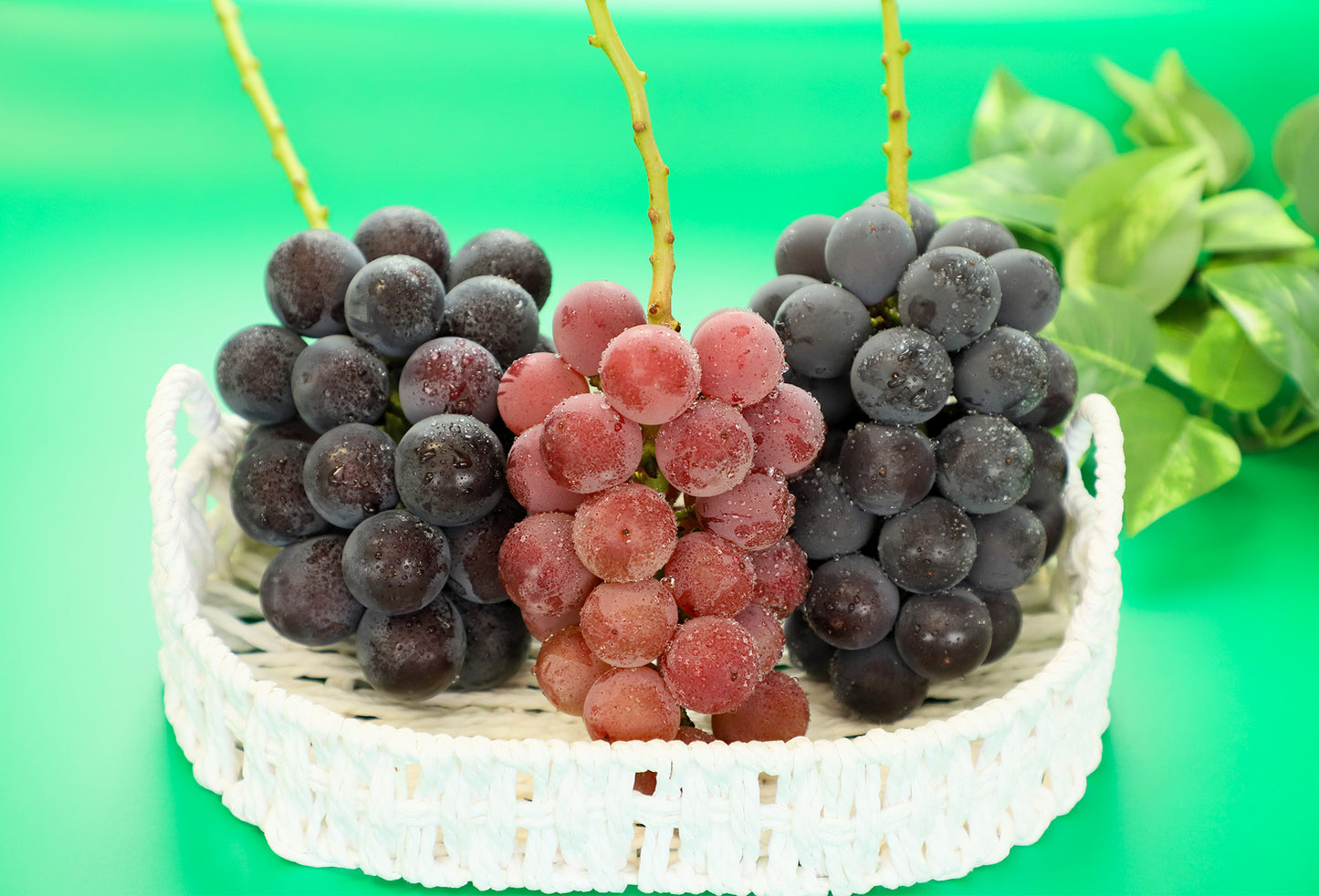 季節のぶどうセット