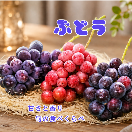 季節のぶどうセット