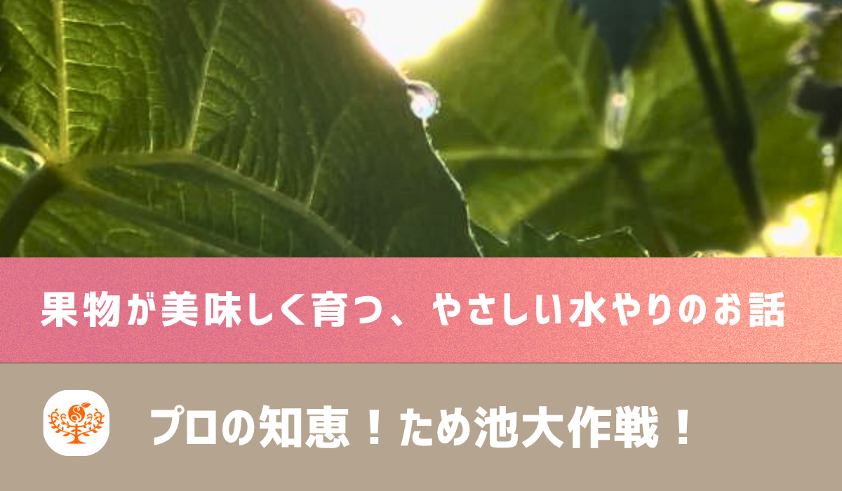 動画を読み込む: 
