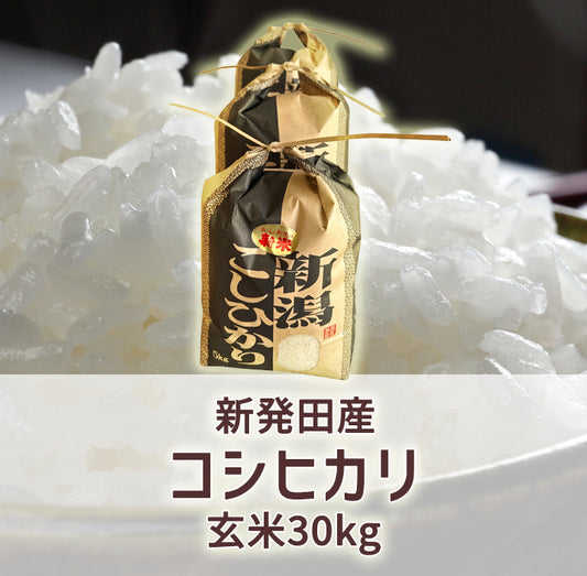 新発田産コシヒカリ(令和7年産)　玄米30kg