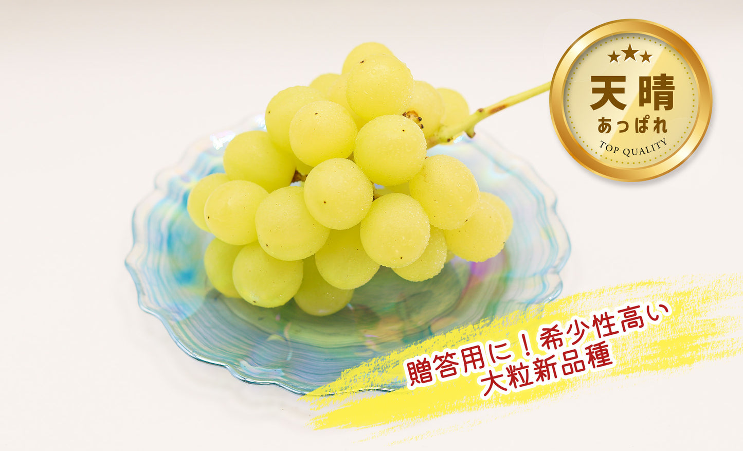 季節のぶどうセット（シャイン入り）8月下旬～(送料込・一部地域除く)