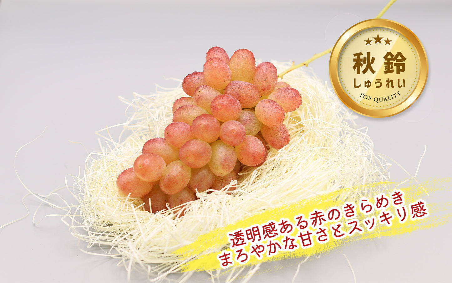 季節のぶどうセット（シャイン入り）8月下旬～(送料込・一部地域除く)