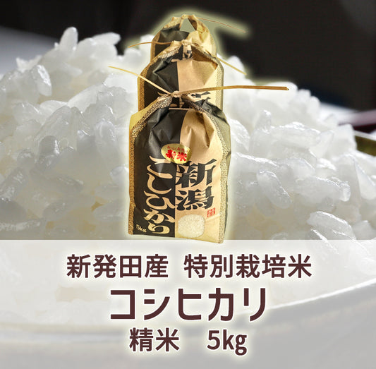 特別栽培米コシヒカリ(令和8年産)　精米5kg(送料込み・一部地域除く)