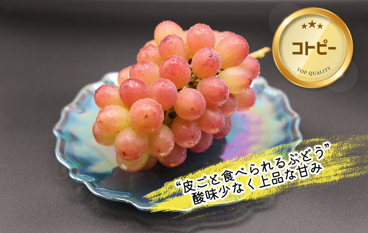 季節のぶどうセット（シャイン入り）8月下旬～(送料込・一部地域除く)