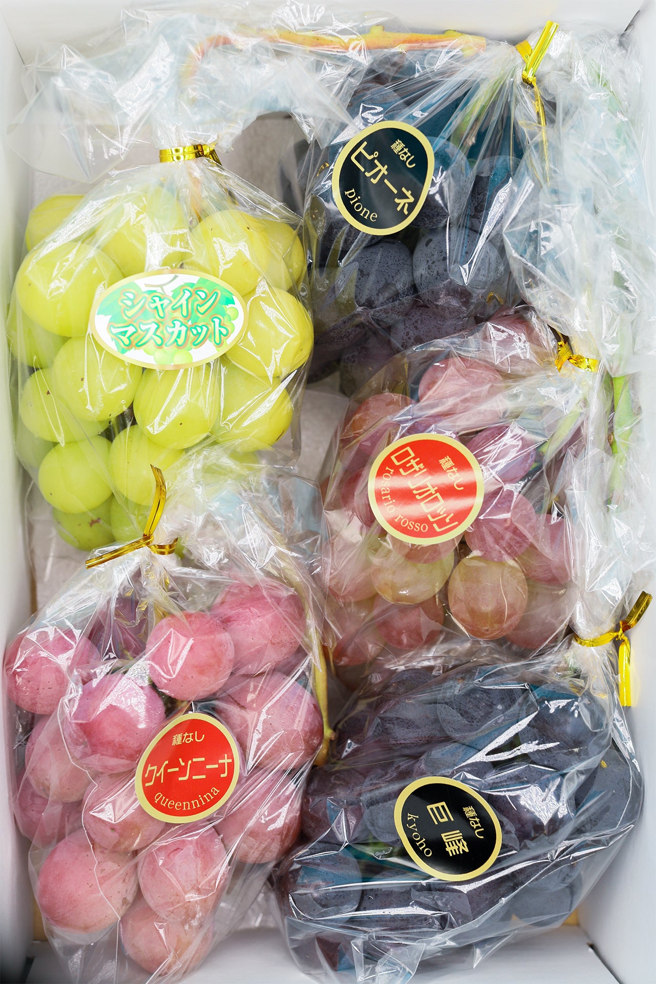 季節のぶどうセット（シャイン入り）
