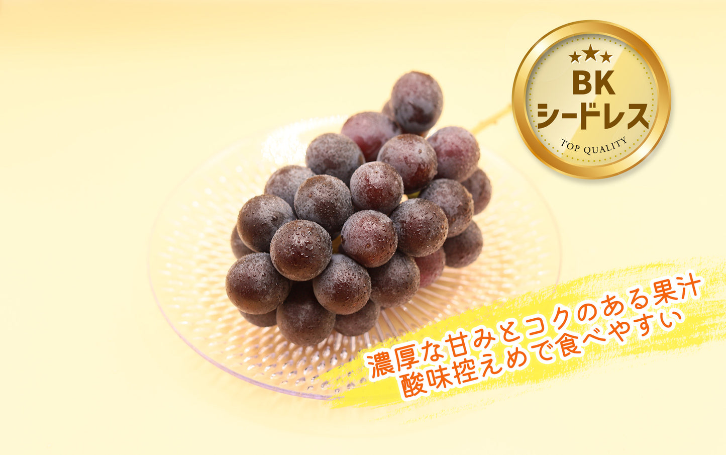 季節のぶどうセット（シャイン入り）8月下旬～(送料込・一部地域除く)