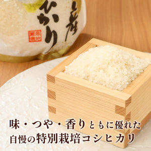 新発田産コシヒカリ(令和7年産)　玄米30kg