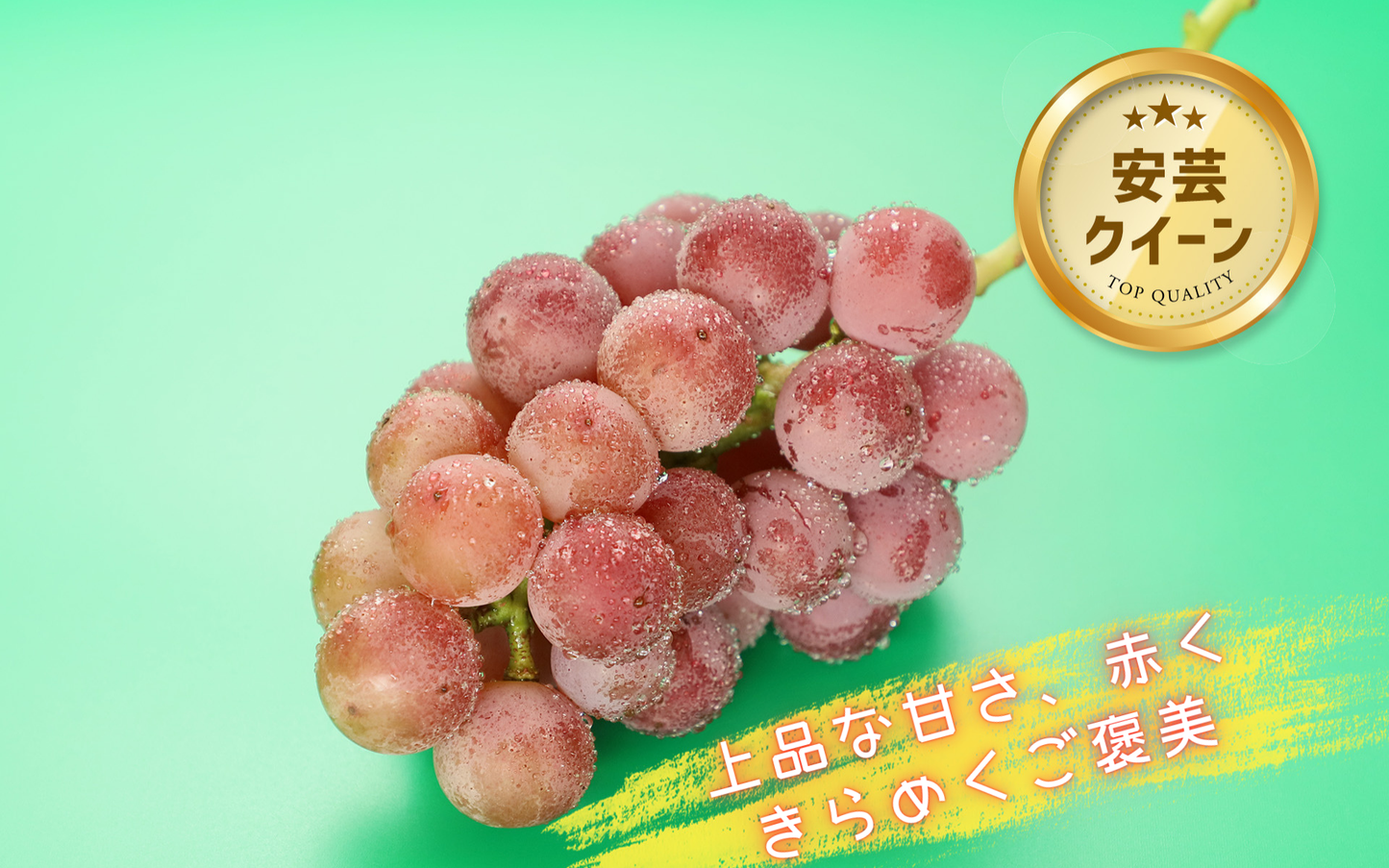 季節のぶどうセット