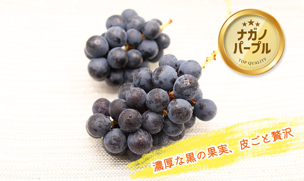 季節のぶどうセット（シャイン入り）8月下旬～(送料込・一部地域除く)