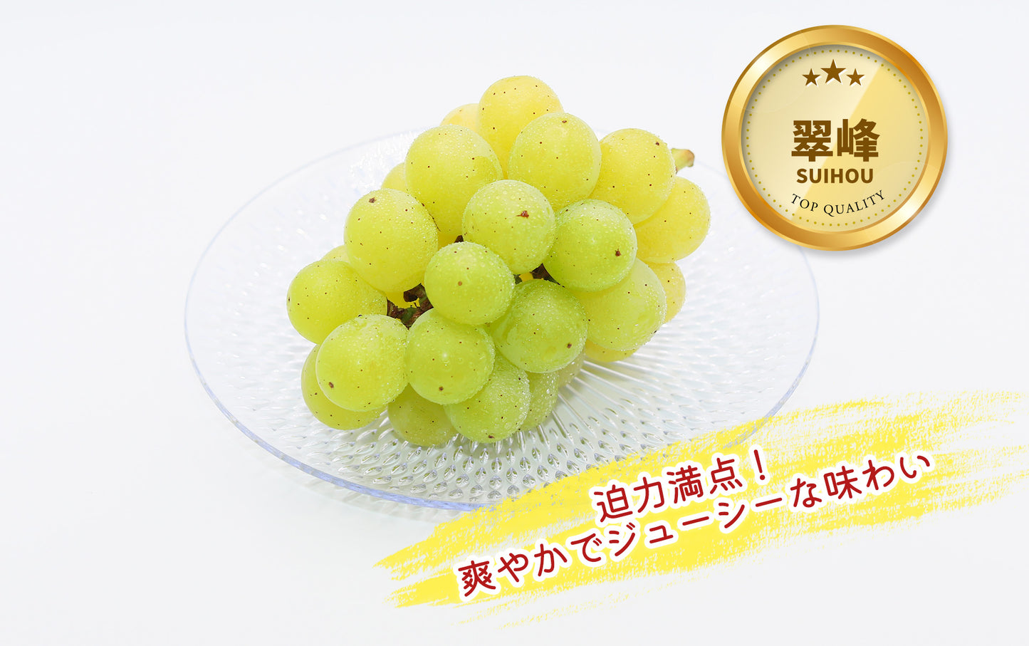 季節のぶどうセット（シャイン入り）8月下旬～(送料込・一部地域除く)