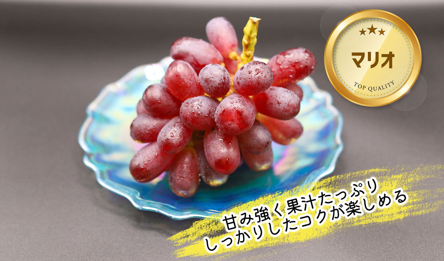 季節のぶどうセット（シャイン入り）8月下旬～(送料込・一部地域除く)