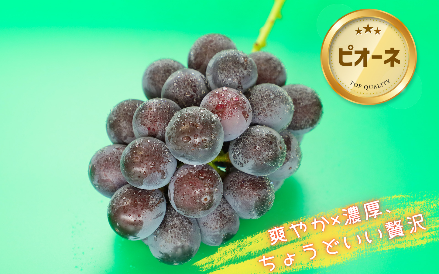 季節のぶどうセット