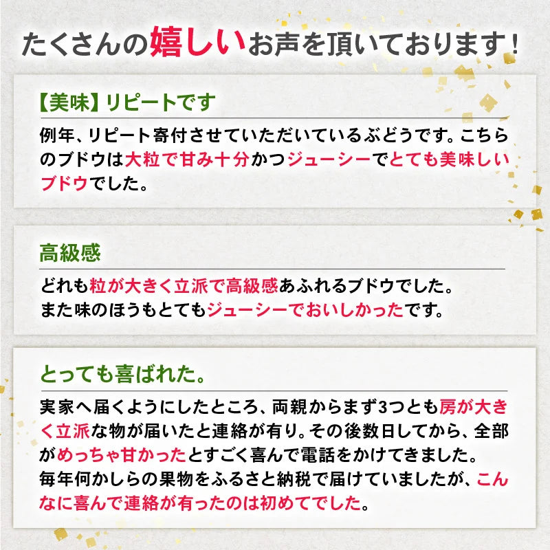 シャインマスカットセット