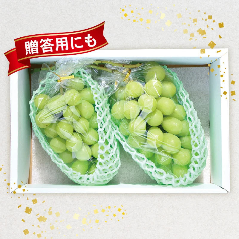 シャインマスカットセット